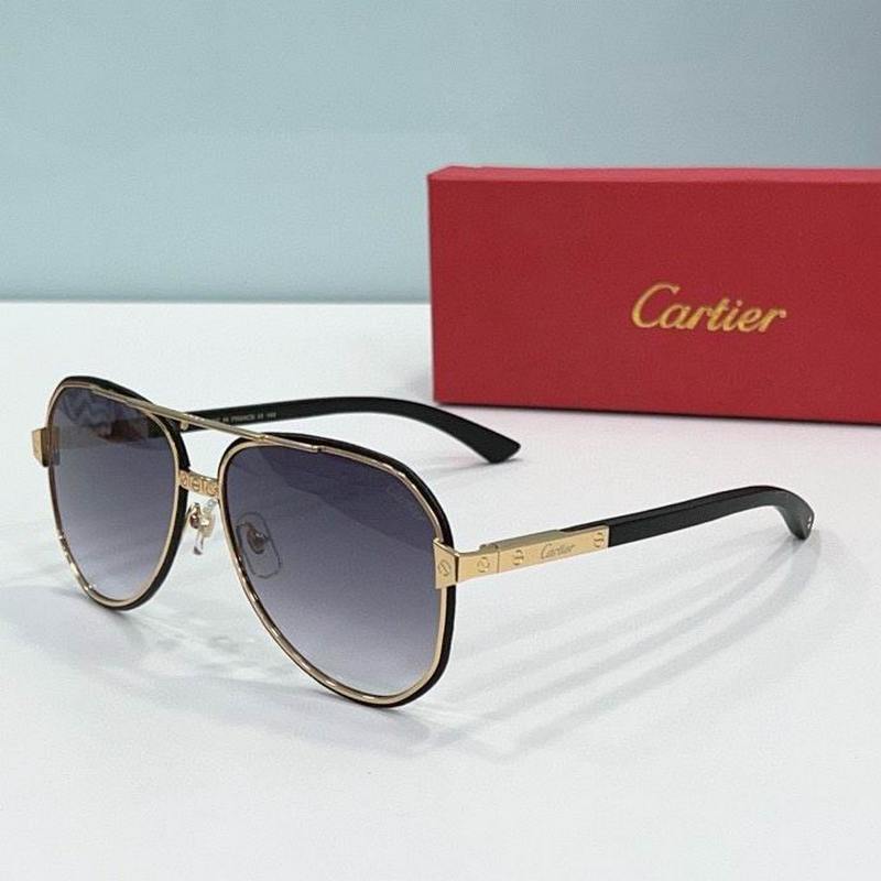 Cartier Sunglasses 831